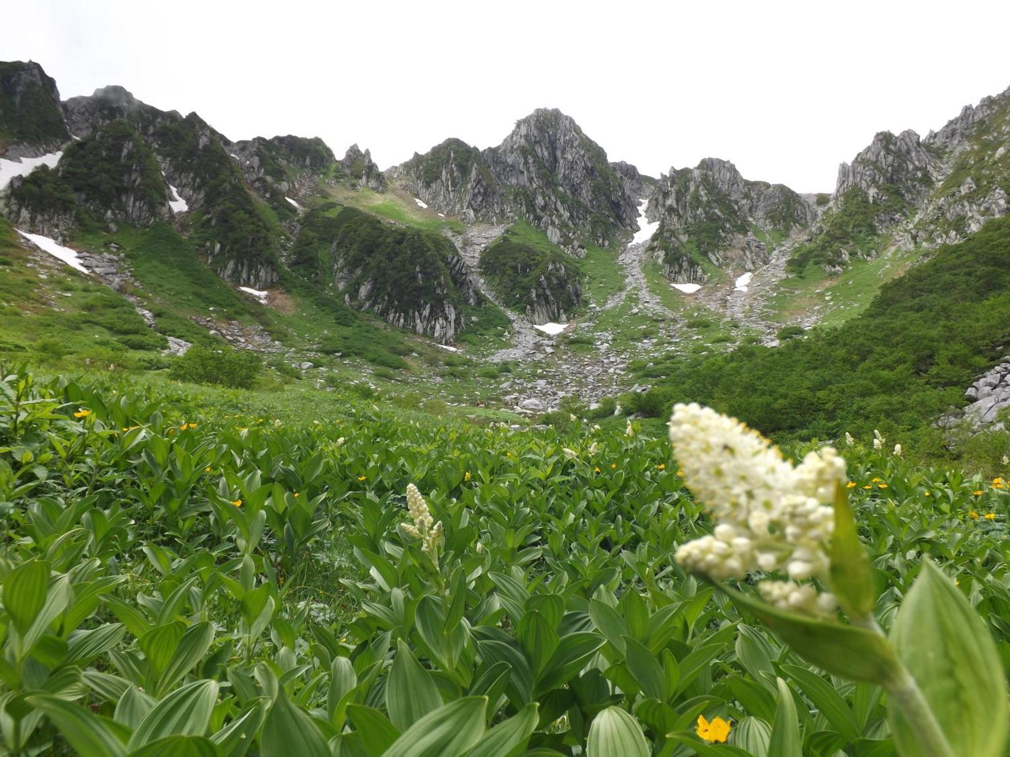Komagane Kogen Resort Linx Екстериор снимка